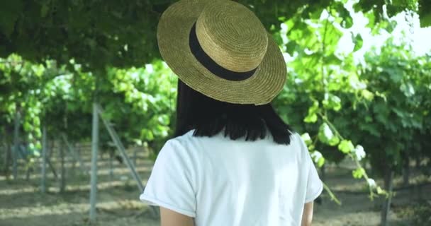 Een Vrouw Met Een Hoed Die Onder Een Wijnstok Loopt — Stockvideo