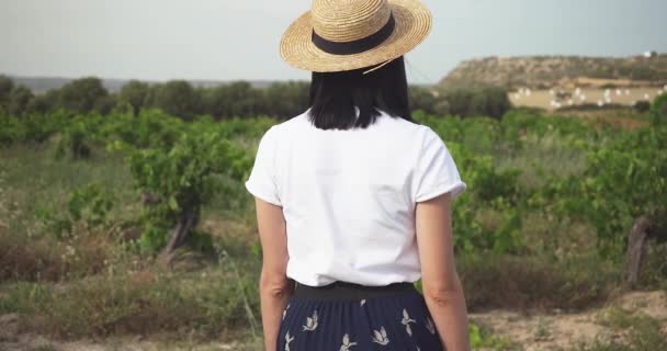 Caméra Suivant Une Femme Marchant Dans Vignoble Mouvement Lent — Video