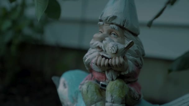 Bliska Ogród Gnome — Wideo stockowe