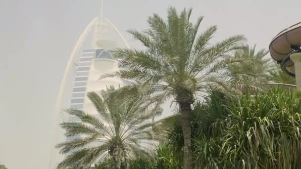 Paisaje Urbano Con Hermoso Parque Con Palmeras Dubai Emiratos Árabes — Vídeos de Stock