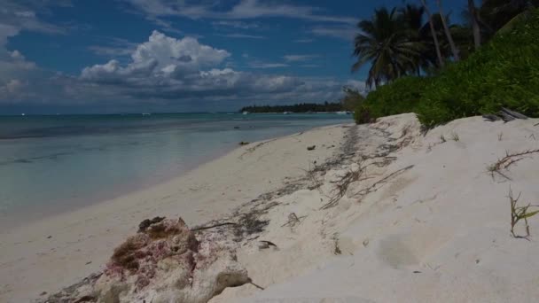Caraibi Beach Time Lapse — Video Stock