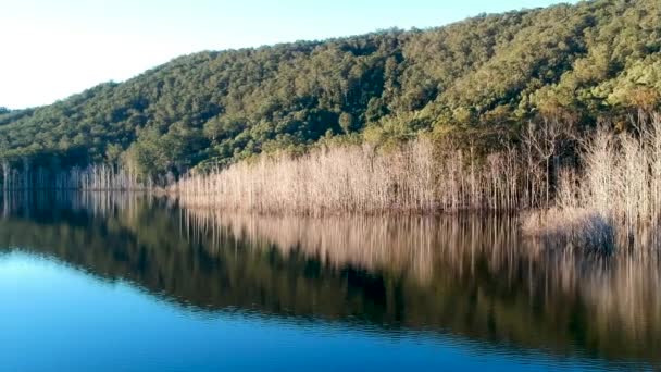 Una Bandeja Lateral Lago Espejo Quieto — Vídeo de stock
