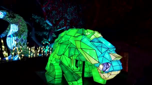 Анимальная Световая Инсталляция Яркий Свет Фестиваль Таронга Зоопарк Сидней Австралия — стоковое видео