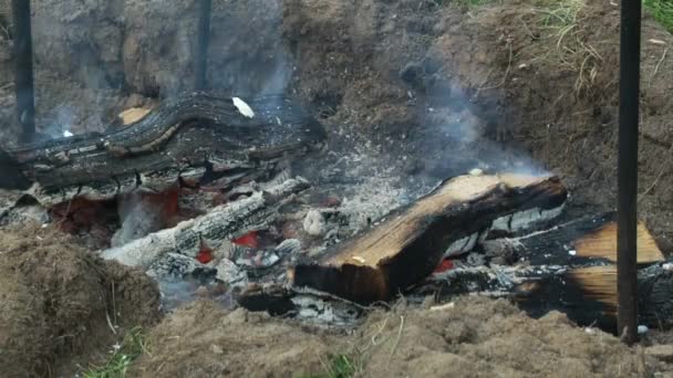 森林里冒着浓烟的篝火 — 图库视频影像