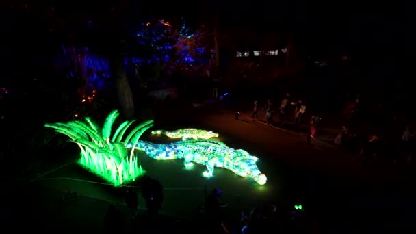 Crocodilo Zoológico Taronga Festival Luz Vívida Sydney Austrália 2018 — Vídeo de Stock