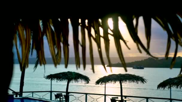 Vanuatu Piscine Palmiers Pistage Tir Gauche Droite Ambiance Soirée Exotique — Video