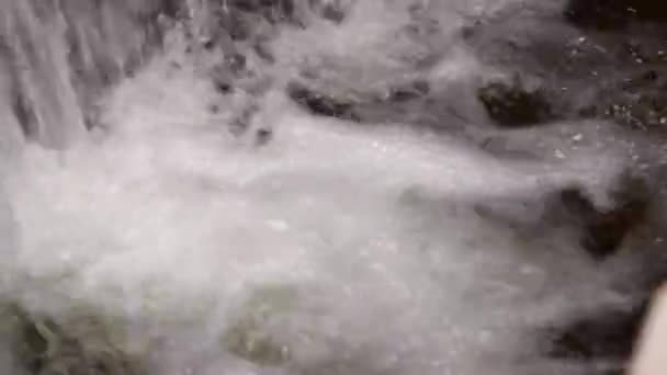 Parte Inferior Uma Pequena Cachoeira — Vídeo de Stock