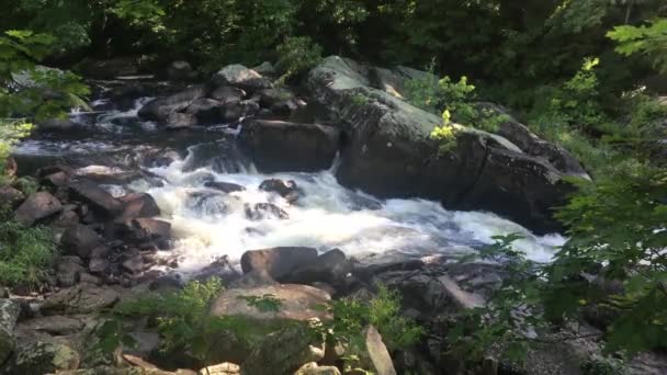 Una Hermosa Cascada Cascada Bosque Maine Agua Precipitada Estrella Sobre — Vídeos de Stock