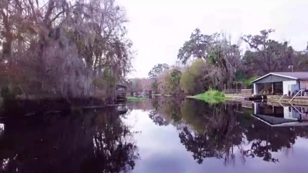 Flyr Lavt Kanal Nabolag Florida – stockvideo