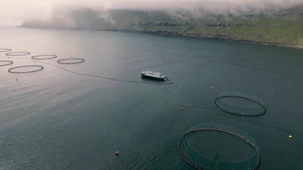 Widok Produkcji Łososia Wyspach Owczych — Wideo stockowe