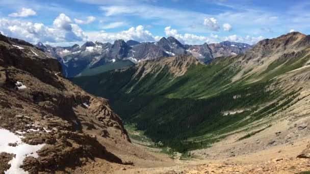 Vast Forested Valley Canadian Rockies Banff National Park — Stock Video