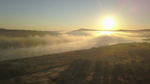 Morgennebel Über Einem See Afrika Bei Sonnenaufgang — Stockvideo