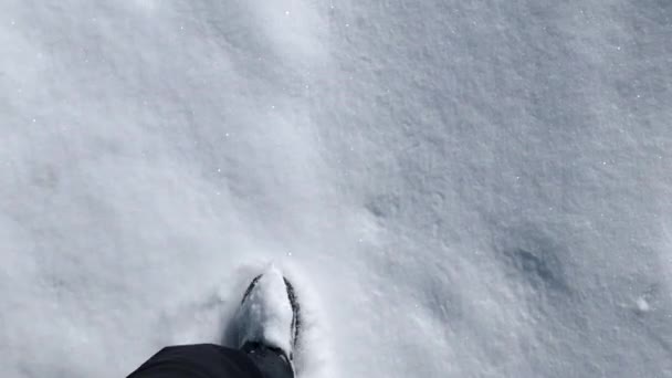 Pov View Person Promenader Slow Genom Snön — Stockvideo