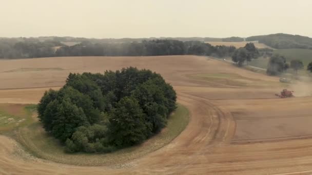 Drone Tiro Alguns Veículos Vermelhos Que Colheita Milho Uma Grande — Vídeo de Stock