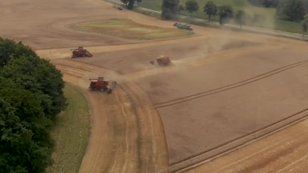 Drone Shot Van Een Aantal Rode Voertuigen Die Maïs Oogsten — Stockvideo