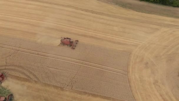 Drohnenaufnahmen Einiger Roter Fahrzeuge Die Mais Aus Einem Großen Gebiet — Stockvideo