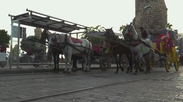 Kutschen Mit Pferden Auf Den Straßen Der Altstadt Von Antalya — Stockvideo
