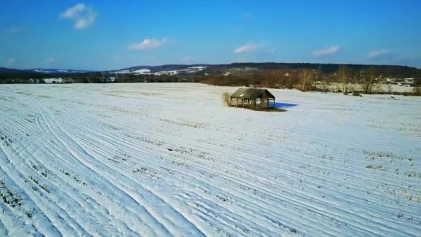 Beläget Central New Your Ligger Övergiven Barn Utan Väggar Stranded — Stockvideo