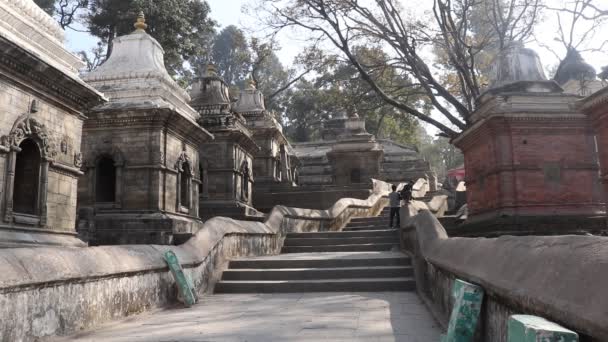 Pashupati Nath Tapınağı Manzarası — Stok video