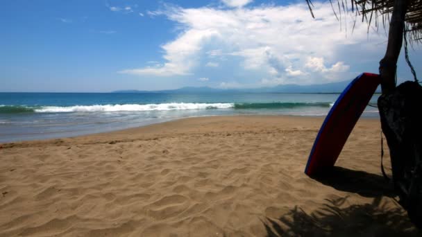 Wakeboard Tropical Beach Palm Trees Summer Day Inglés Ixtapa Zihuatanejo — Vídeo de stock