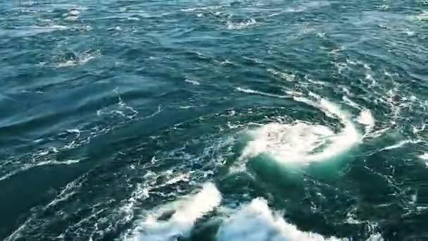 Hlubokomořského Fenoménu Přirozeně Vynořují Vodní Víry — Stock video