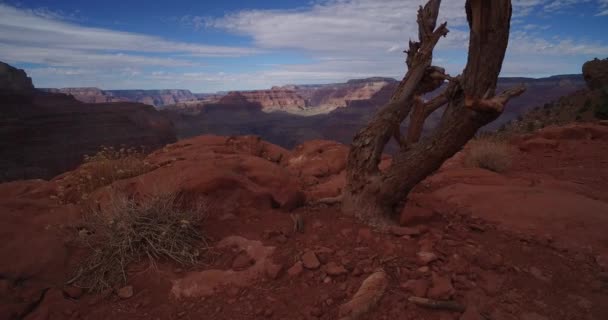 Uma Caminhada Pela Borda Sul Grand Canyon — Vídeo de Stock