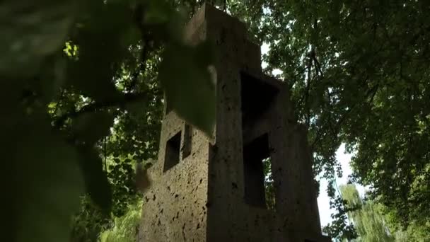 墓碑上的雕塑 — 图库视频影像