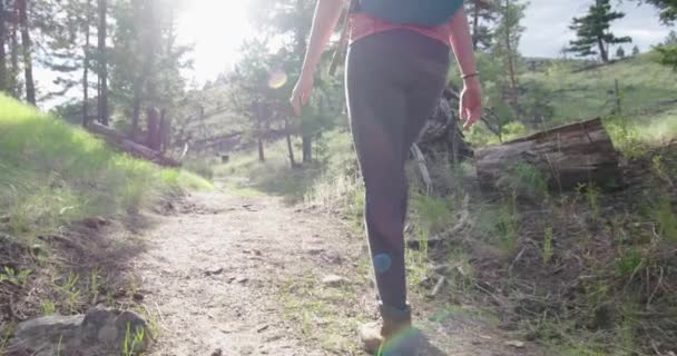 Feet While Hiking Slow Motion — Stock Video