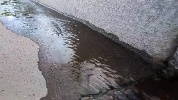 Walking Road Noticed Something Gutter Could — Stock Video