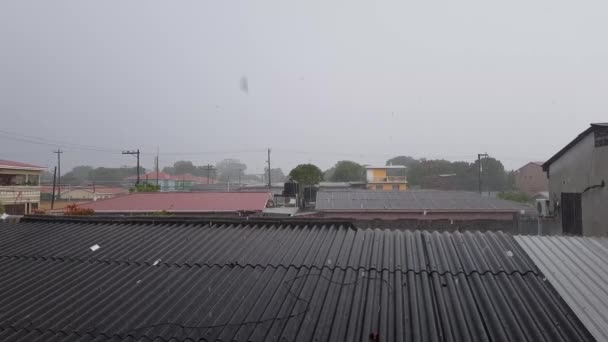 Deszczowe Popołudnie Dachy Deszcz — Wideo stockowe