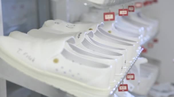 Een Groep Wetenschappers Betreedt Een Nanofabrication Cleanroom Facility — Stockvideo