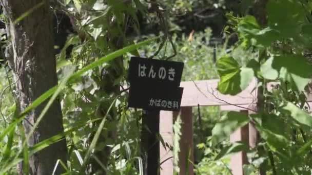 Japanese Signpost Garden — Stock Video