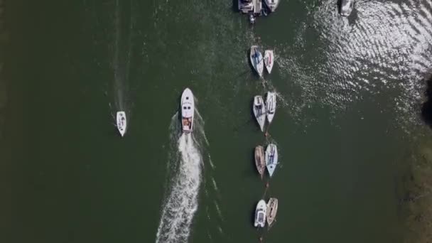 Drohne Luftaufnahme Des Weißen Bootes Entlang Des Beaulieu River Sonnigen — Stockvideo