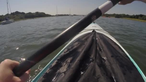 Punto Vista Primera Persona Pov Kayak Río Beaulieu Sur Inglaterra — Vídeo de stock