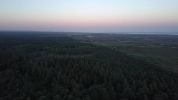 Drone Aerial View Pan Right Left New Forest National Park — Stock Video