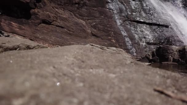 Mariposa Cruzando Dron Pov Mientras Espera Para Despegar Roca Cerca — Vídeos de Stock