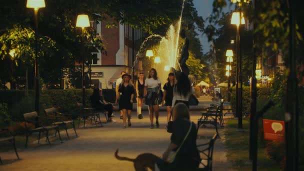 Menschen Einem Park Mit Springbrunnen Stockholm Der Nacht — Stockvideo