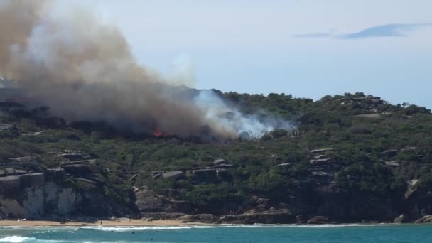 Smokey Australian Hazard Reduction Burn Autunno Bushfire Burning North Curl — Video Stock