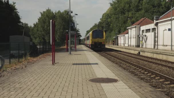 Trenes Que Cruzan Una Estación Jamioulx Bélgica — Vídeos de Stock