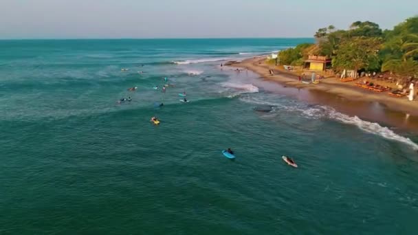 Vista Della Fattoria Arachidi Surf — Video Stock