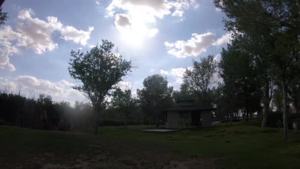 Timelapse Sol Verano Brillando Brillantemente Sobre Hermoso Gazebo Parque Forestal — Vídeos de Stock