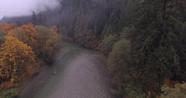 Imagens Drones Voando Pelas Montanhas Sobre Rio Claro Com Nevoeiro — Vídeo de Stock