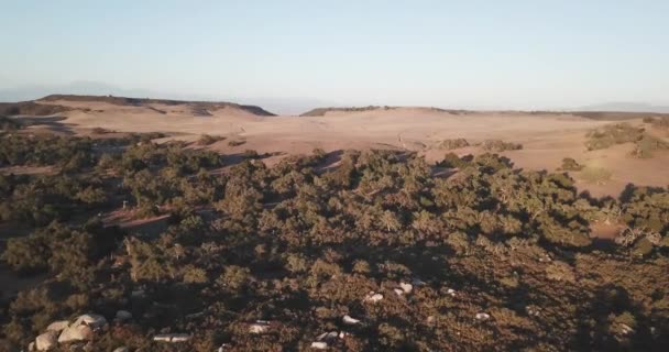 Doğada Güzel Bir Gün Batımı — Stok video