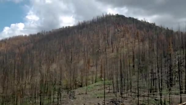 在被森林大火摧毁的森林里沿着山路开车 — 图库视频影像