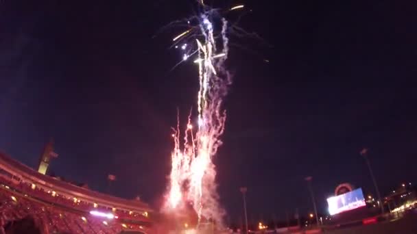 Vuurwerk Tijdens Vakantie Video — Stockvideo
