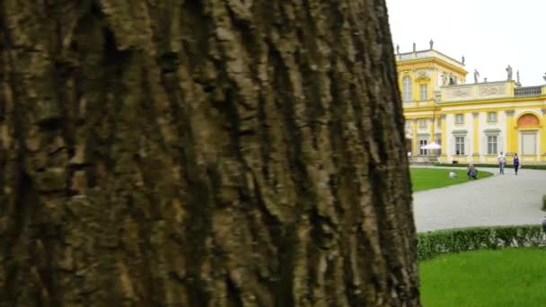 Enthüllung Eines Barockschlosses Von Wilanow Hinter Einem Baum Einem Park — Stockvideo