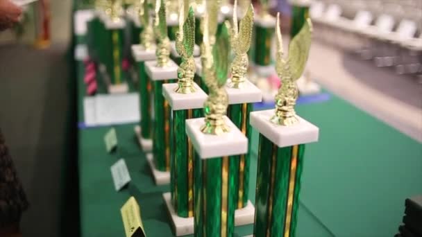 Set Trophies Students Who Achieving Academic Goals — Stock Video