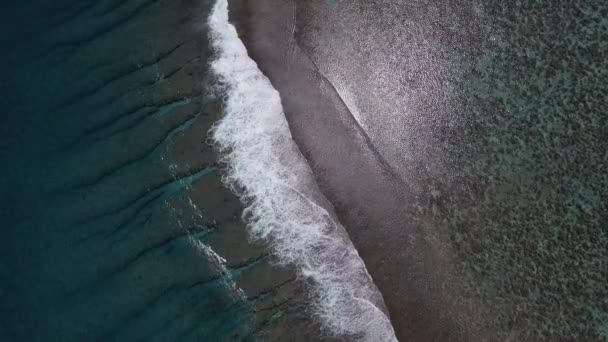 Lagoon Tahiti Views Drone Views Fucking Blue Ass Water — Vídeos de Stock