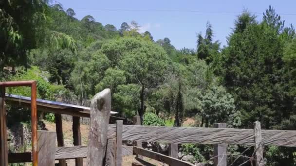 Panning Clip Rural Place Arroyo Seco Queretaro Mexico — ストック動画