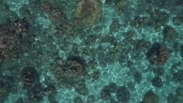 Лагуна Таїті Вигляд Згори Кисла Чиста Вода — стокове відео